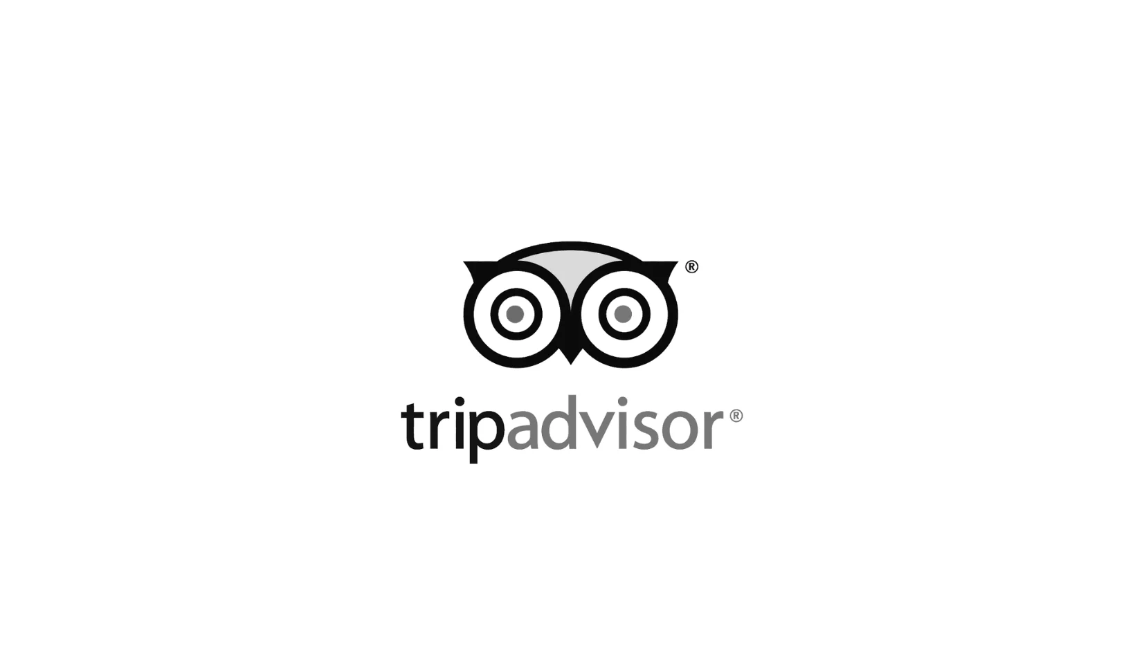 Trip Advisor Logo (Mobile)