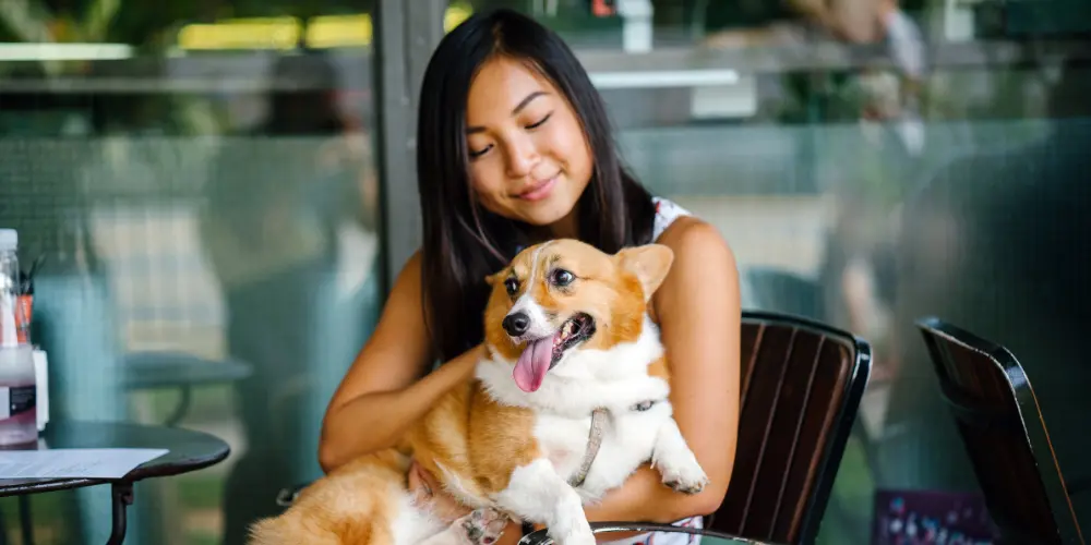 Dogs at the restaurant